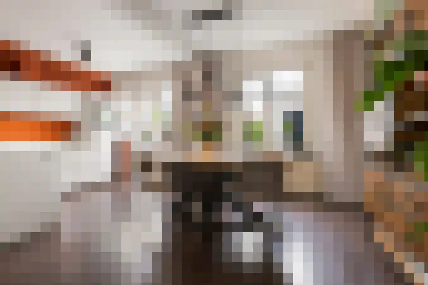 Professor Rankestraat 17 Groningen thumbnail 13