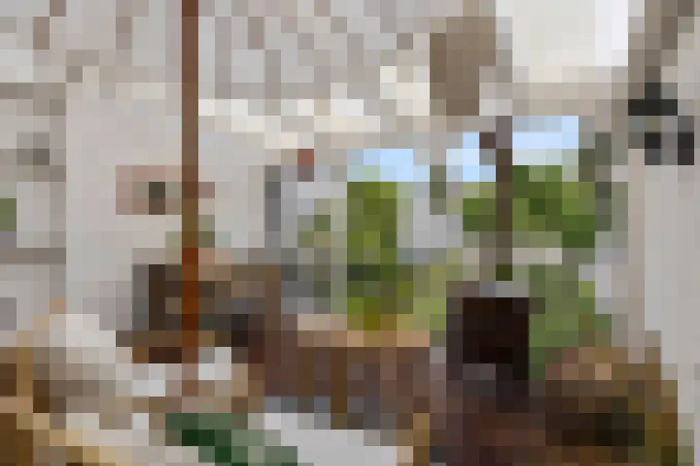 Professor Rankestraat 17 Groningen thumbnail 30