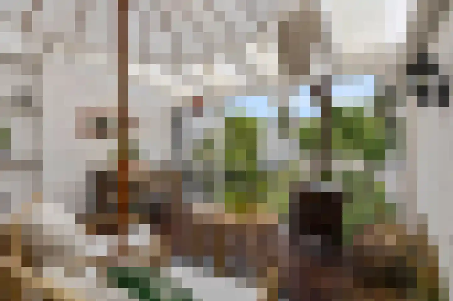 Professor Rankestraat 17 Groningen thumbnail 31