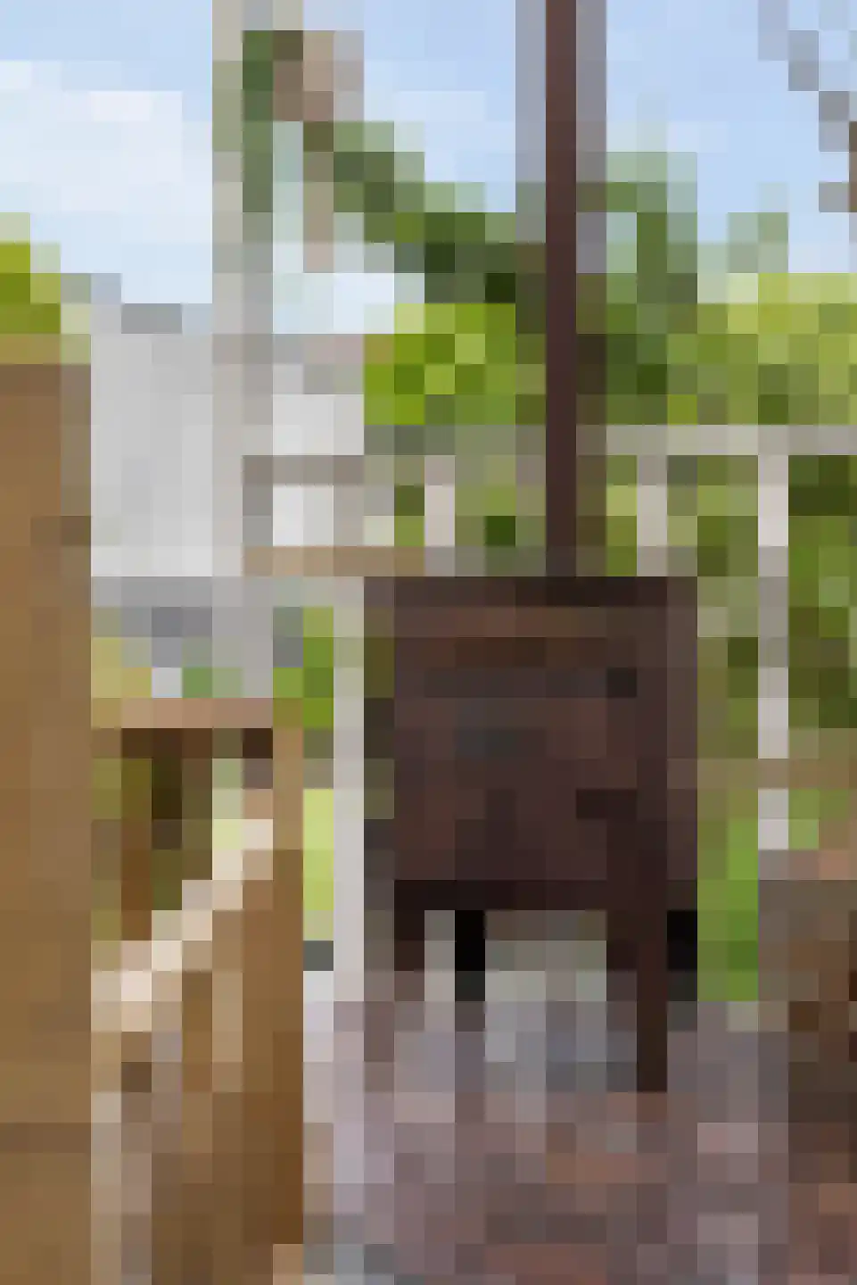 Professor Rankestraat 17 Groningen thumbnail 32