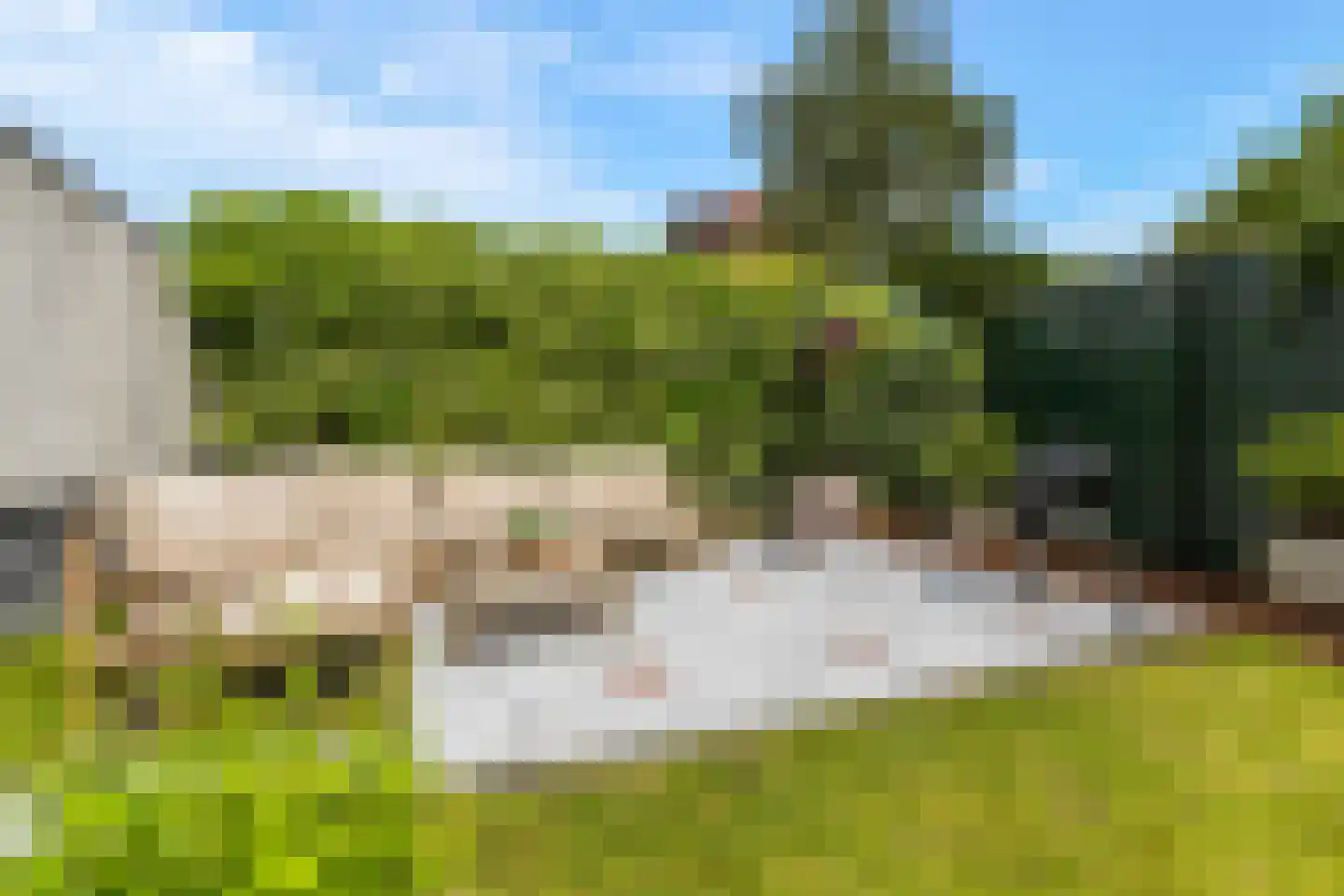 Professor Rankestraat 17 Groningen thumbnail 34