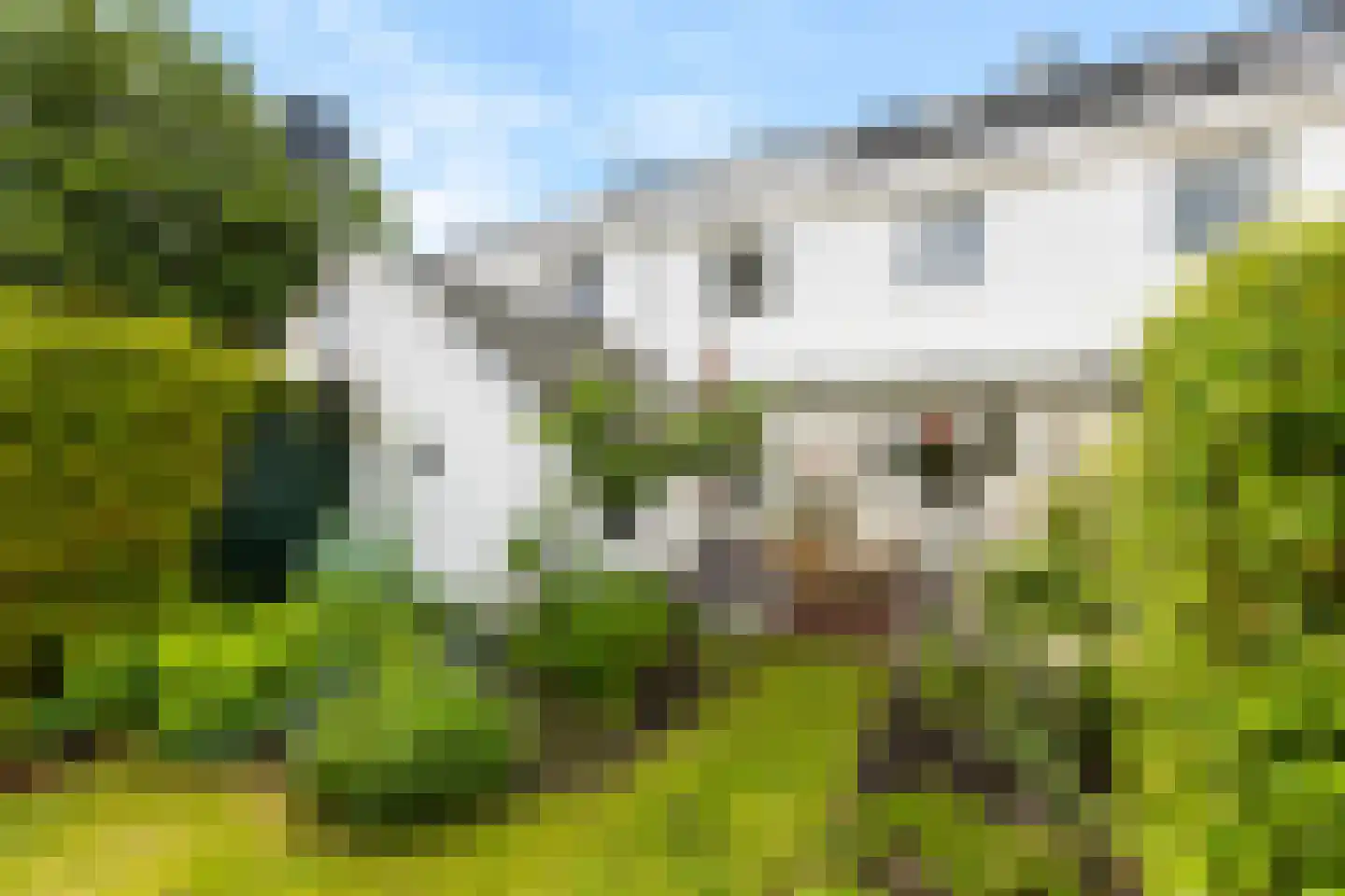 Professor Rankestraat 17 Groningen thumbnail 39