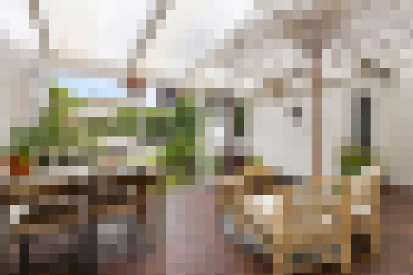 Professor Rankestraat 17 Groningen thumbnail 4