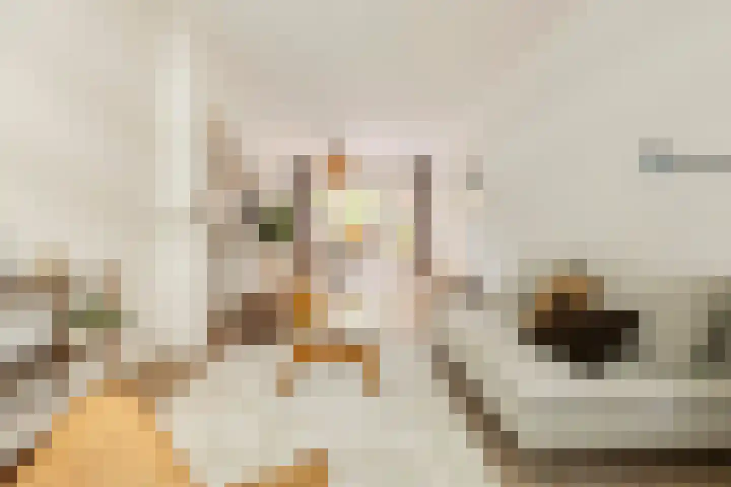Professor Rankestraat 18 Groningen thumbnail 12