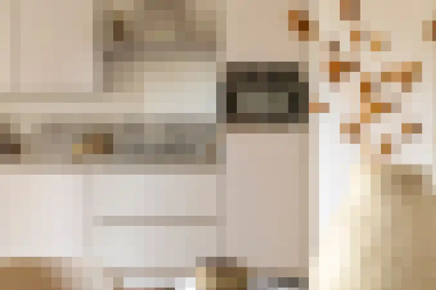 Professor Rankestraat 18 Groningen thumbnail 16