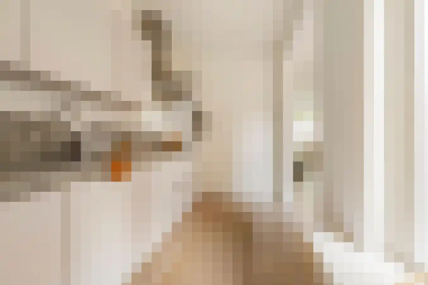 Professor Rankestraat 18 Groningen thumbnail 18