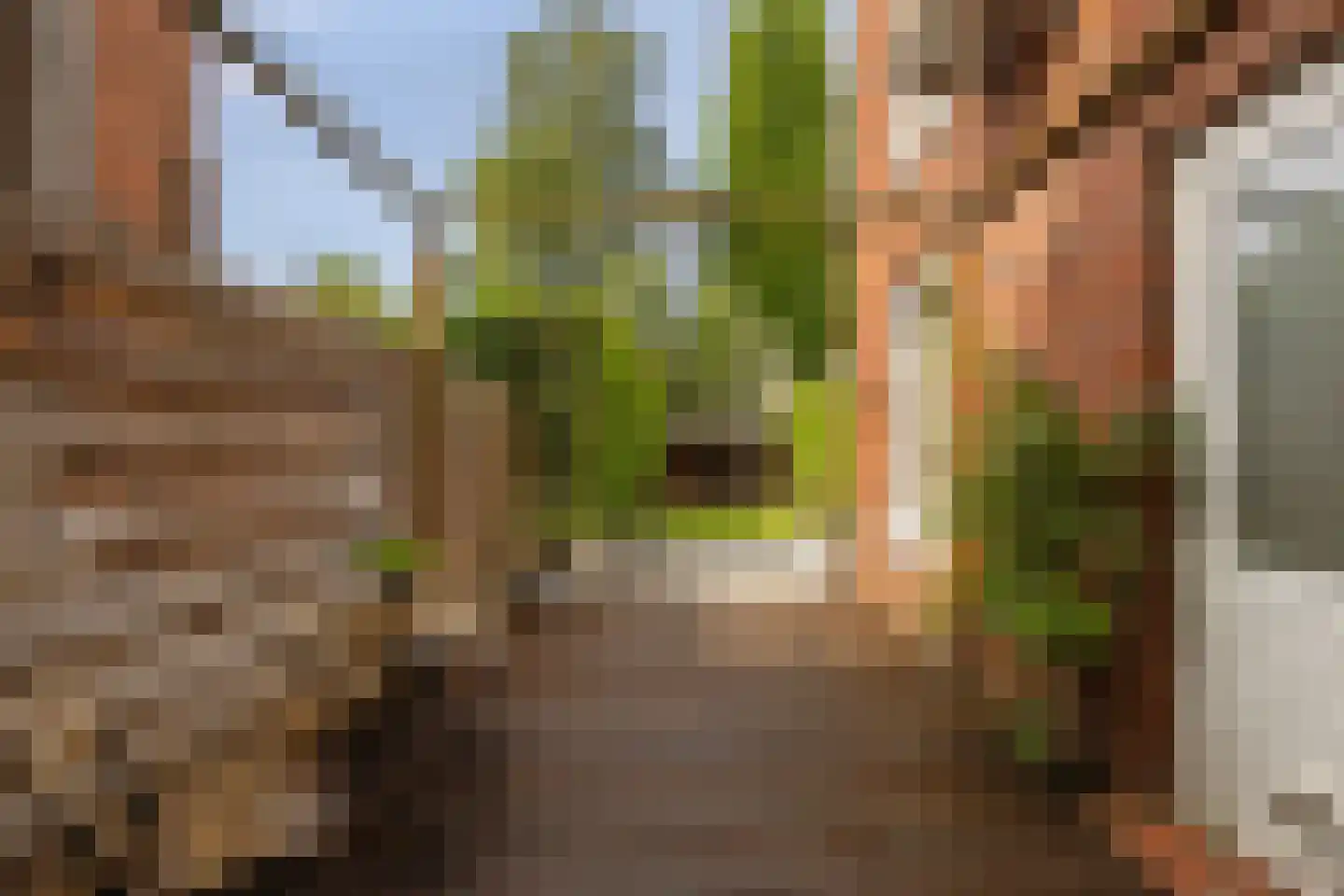 Professor Rankestraat 18 Groningen thumbnail 30