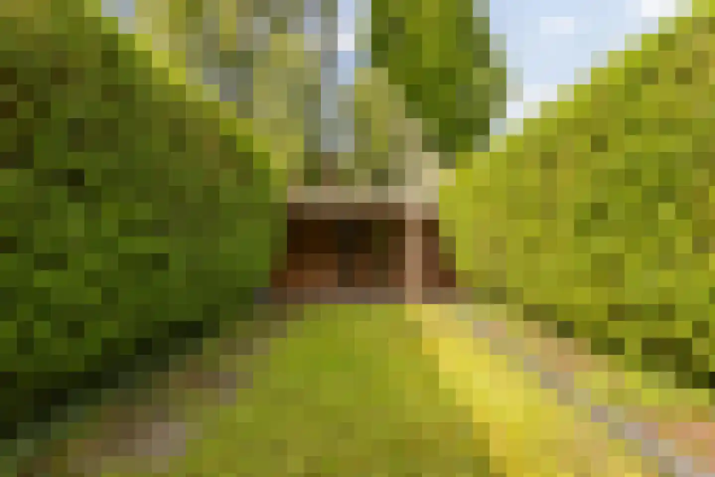 Professor Rankestraat 18 Groningen thumbnail 33