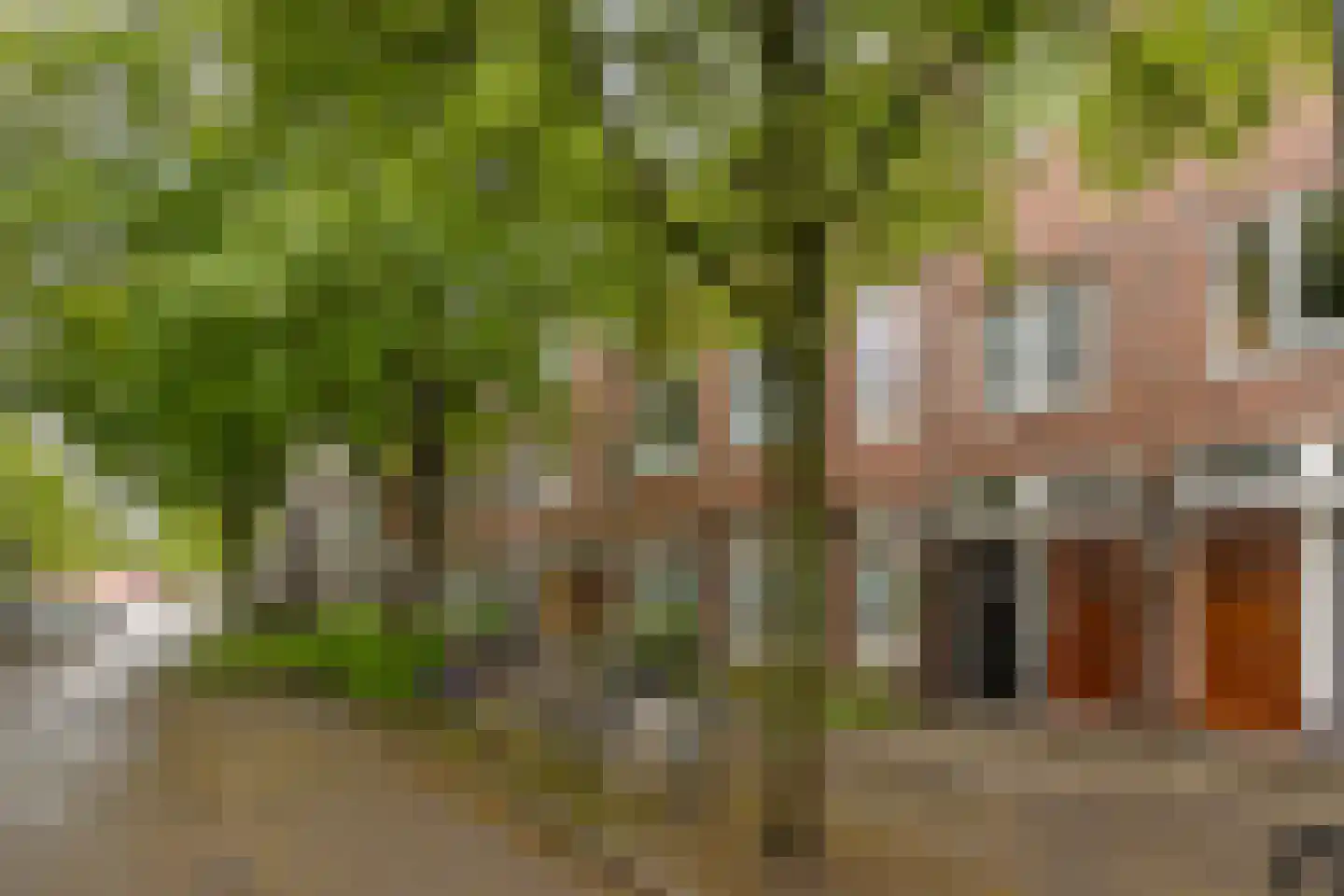 Professor Rankestraat 18 Groningen thumbnail 4
