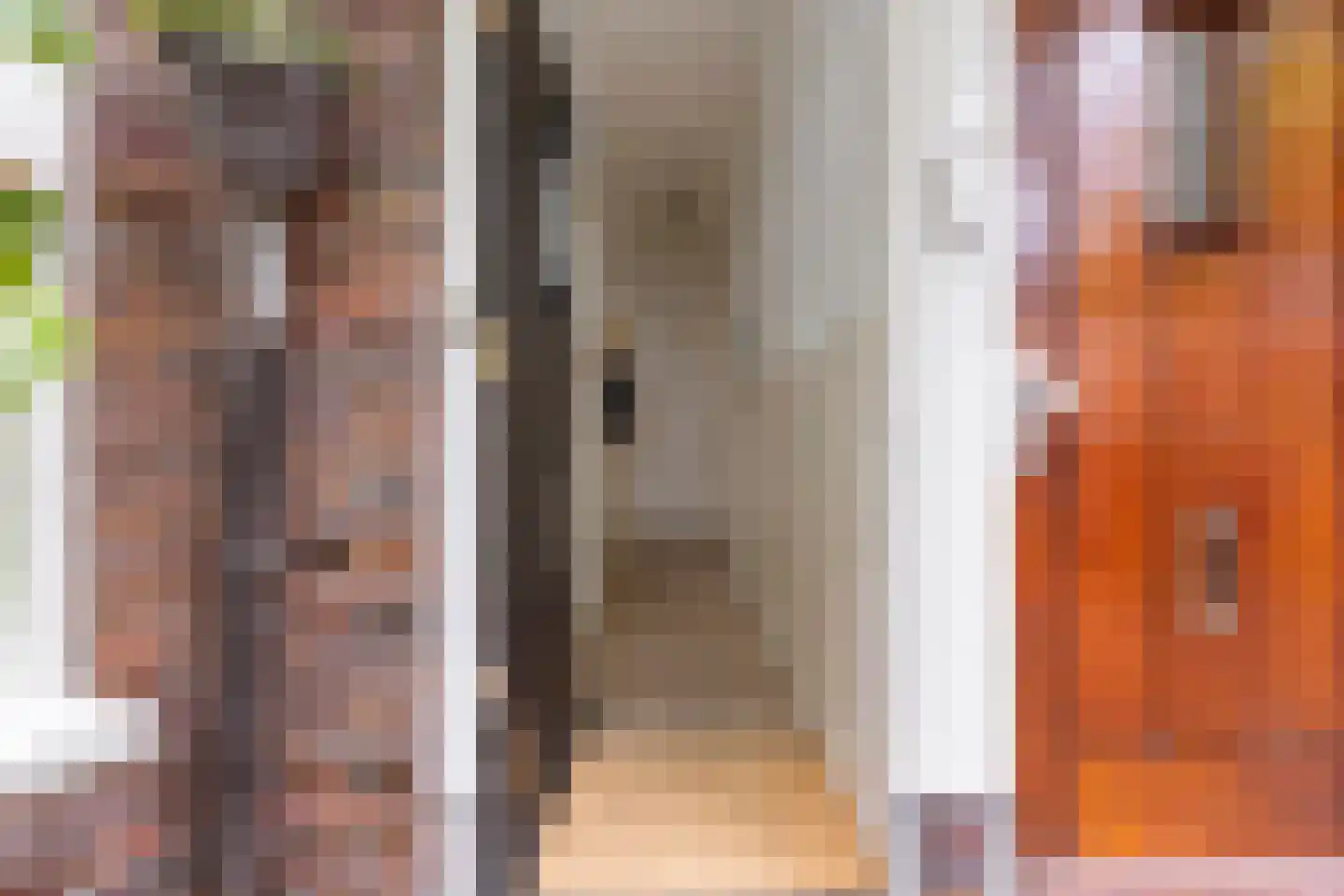 Professor Rankestraat 18 Groningen thumbnail 5