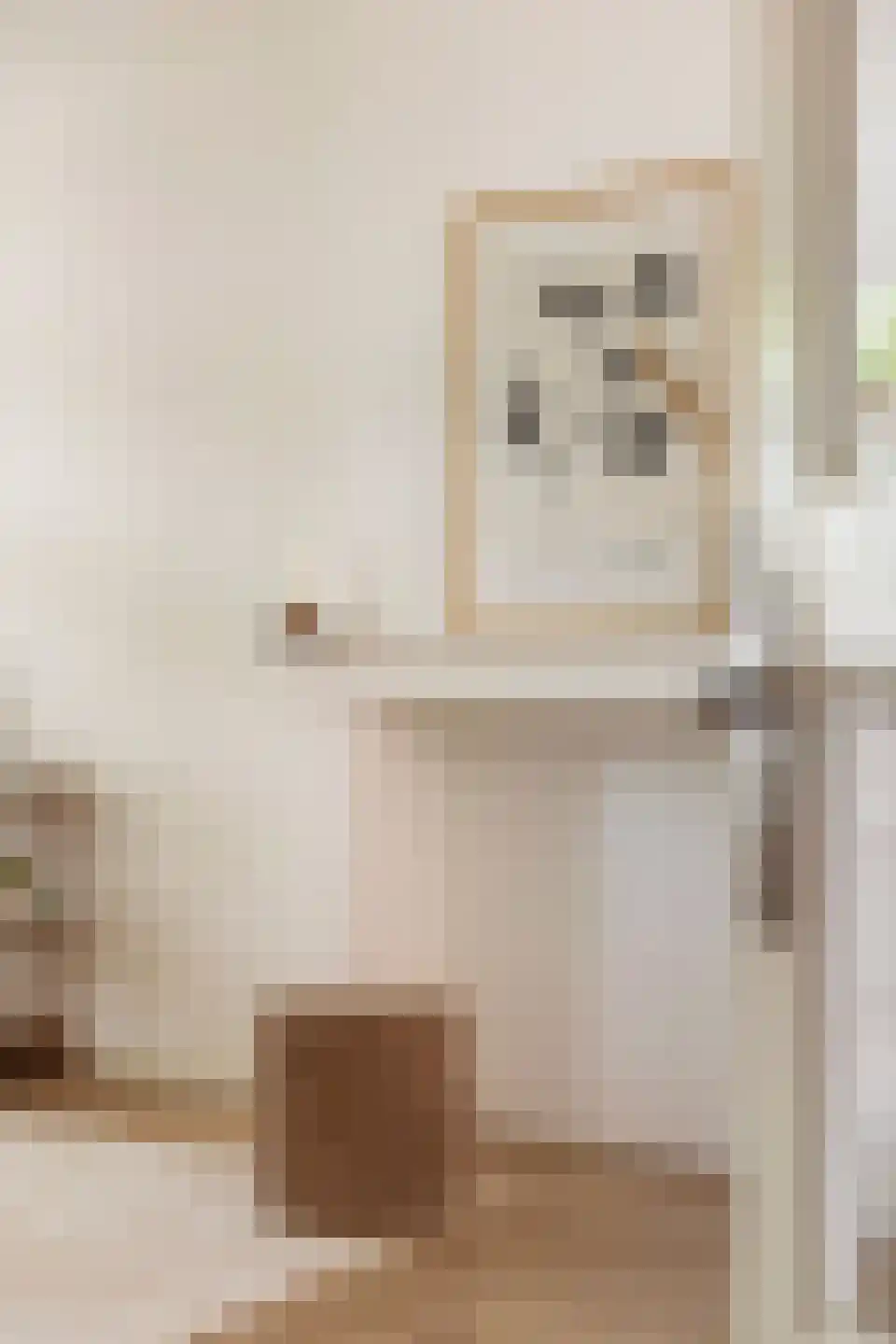 Professor Rankestraat 18 Groningen thumbnail 7