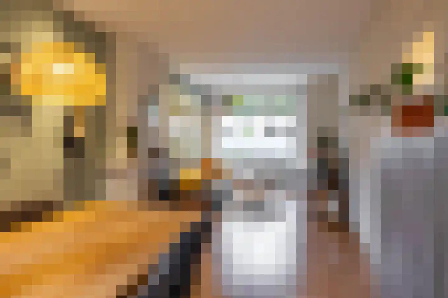 Professor Rankestraat 20 Groningen thumbnail 11