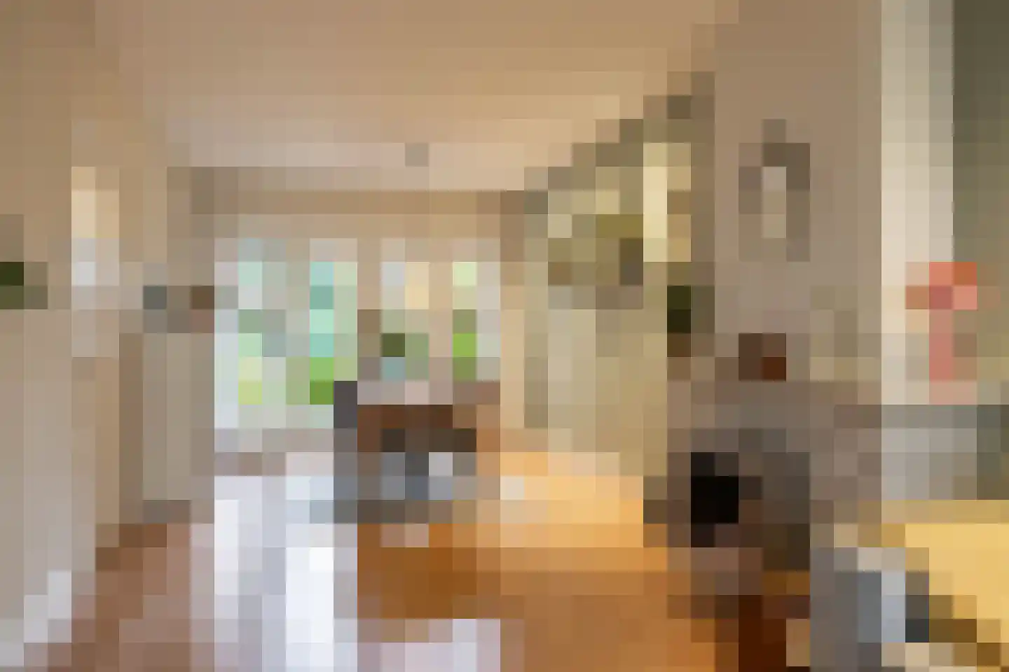 Professor Rankestraat 20 Groningen thumbnail 12