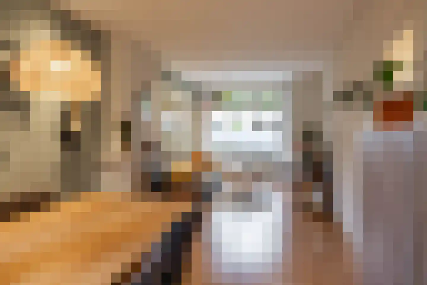 Professor Rankestraat 20 Groningen thumbnail 13