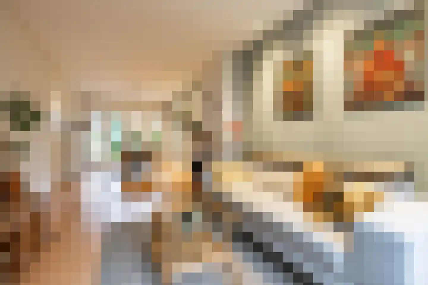 Professor Rankestraat 20 Groningen thumbnail 14