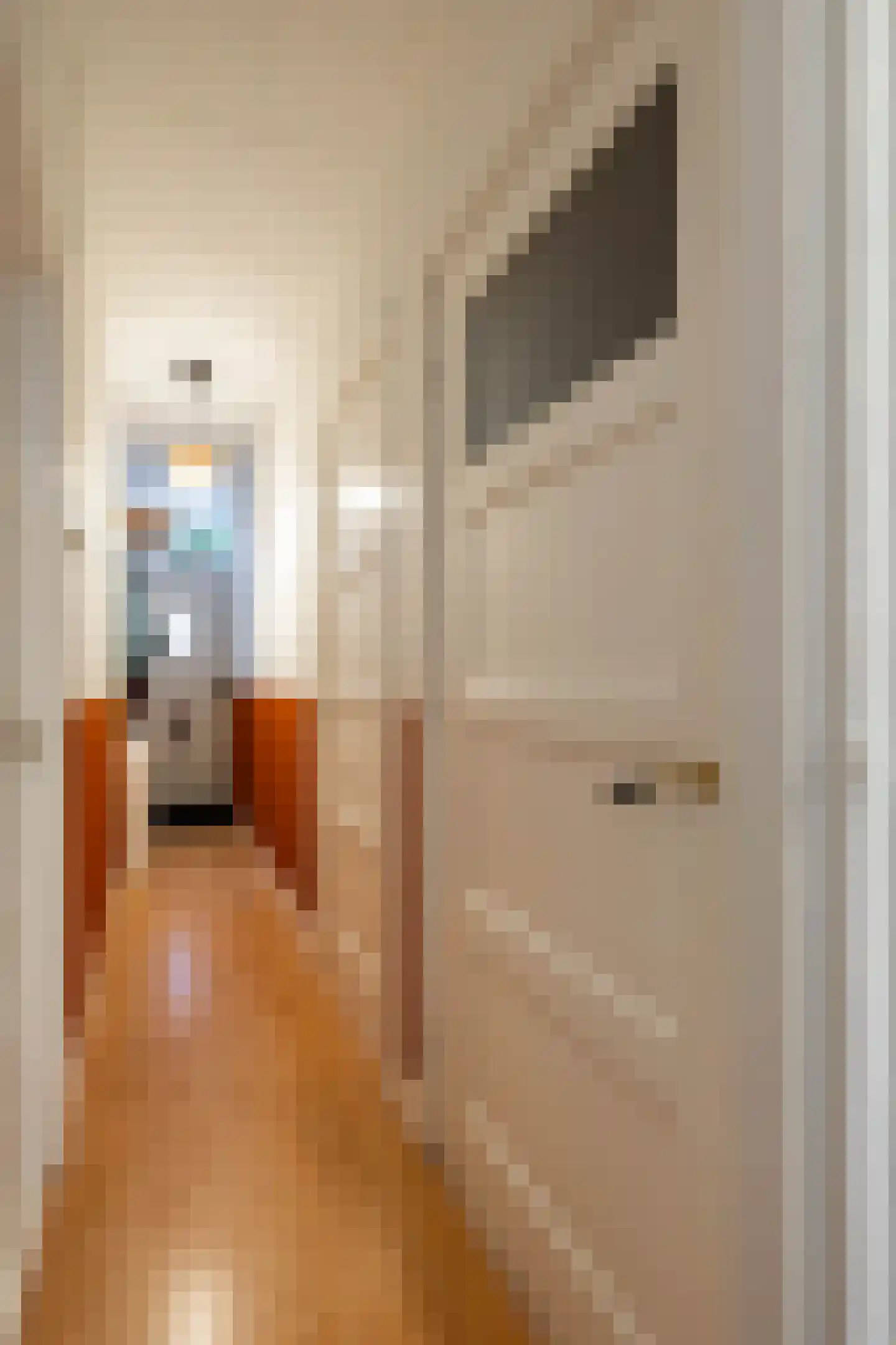 Professor Rankestraat 20 Groningen thumbnail 23