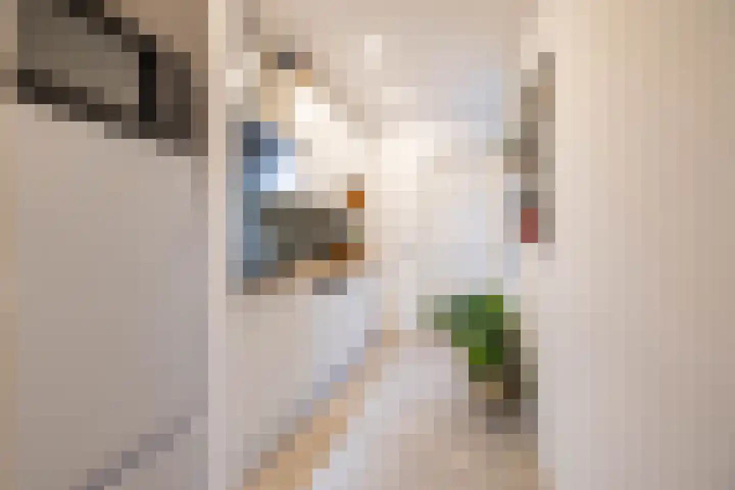 Professor Rankestraat 20 Groningen thumbnail 26