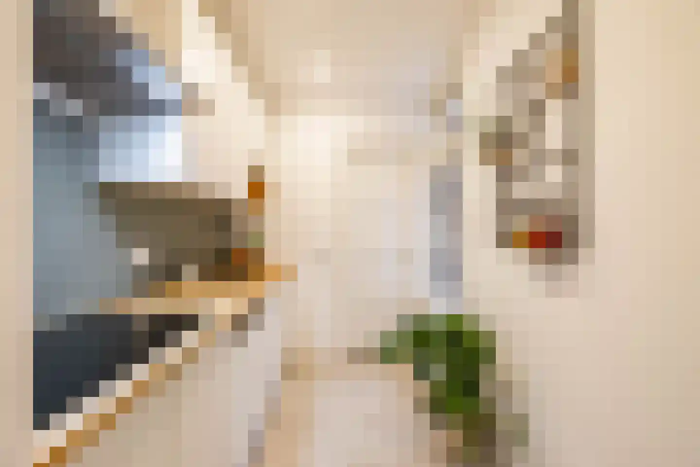 Professor Rankestraat 20 Groningen thumbnail 27