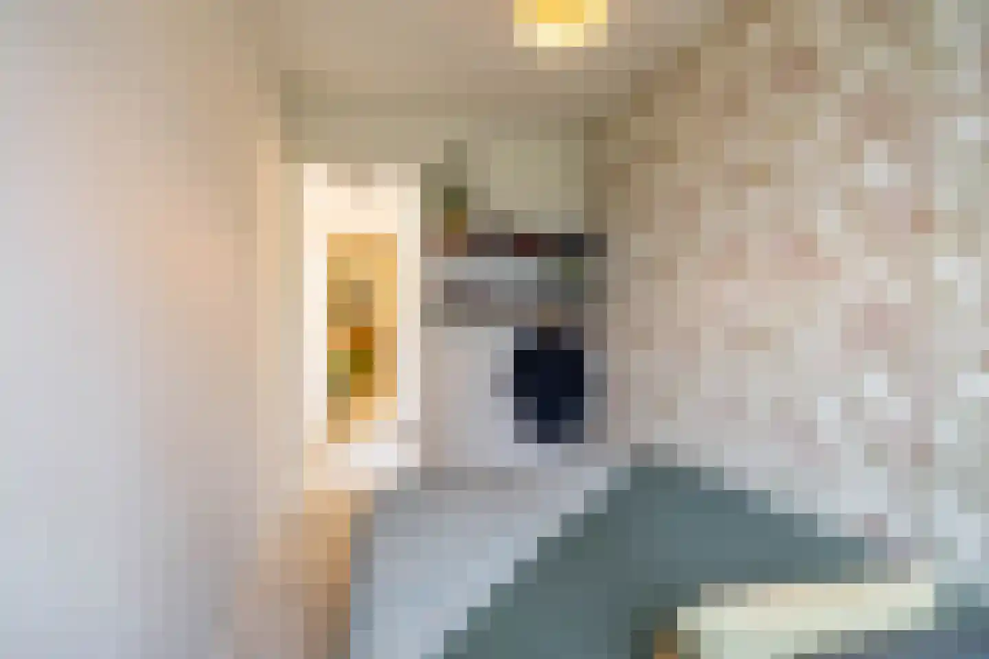 Professor Rankestraat 20 Groningen thumbnail 32