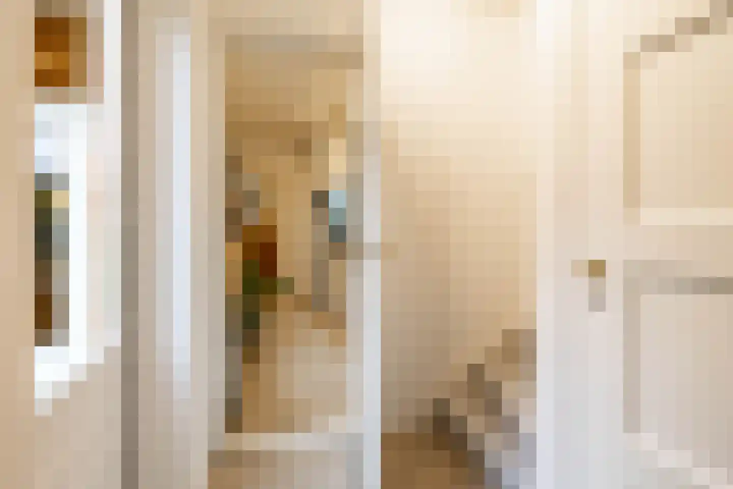 Professor Rankestraat 20 Groningen thumbnail 33
