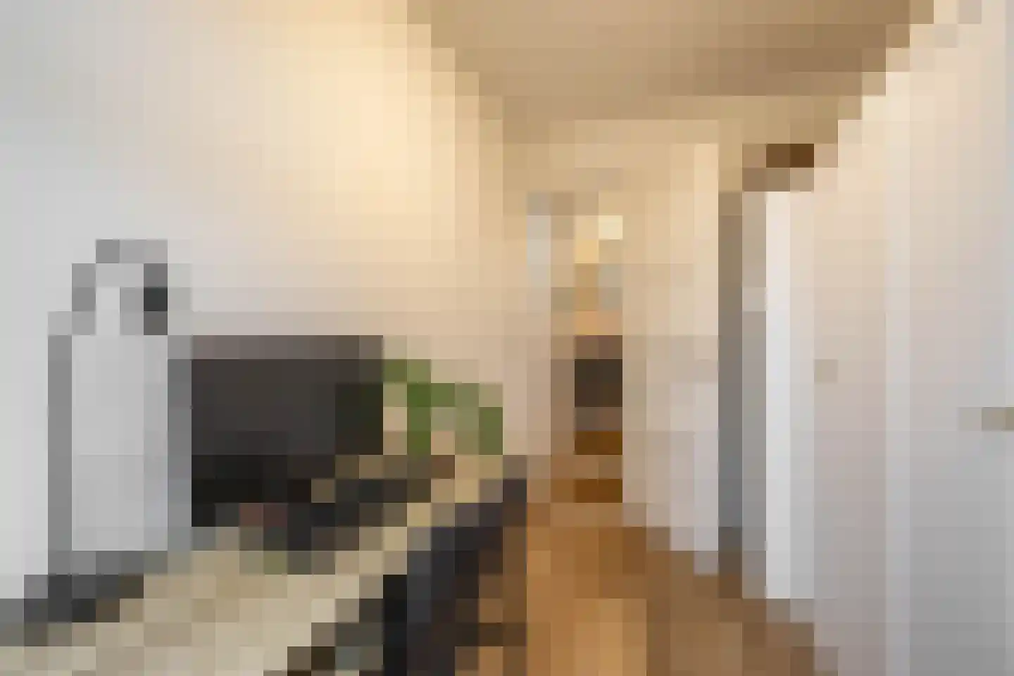 Professor Rankestraat 20 Groningen thumbnail 35