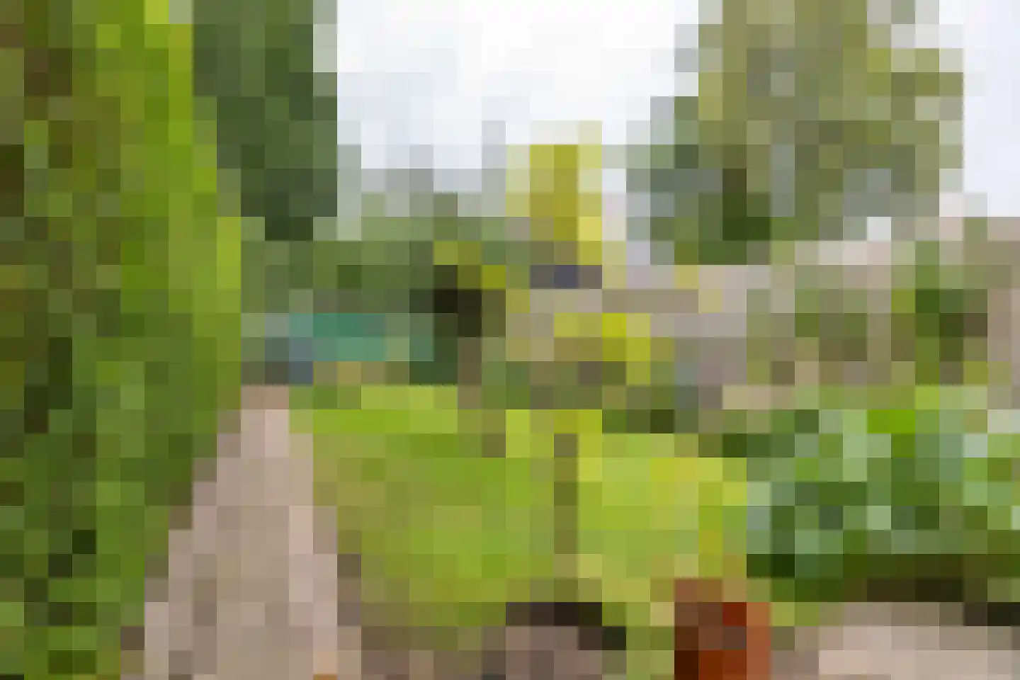 Professor Rankestraat 20 Groningen thumbnail 41