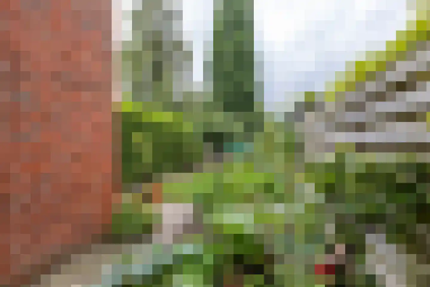 Professor Rankestraat 20 Groningen thumbnail 45