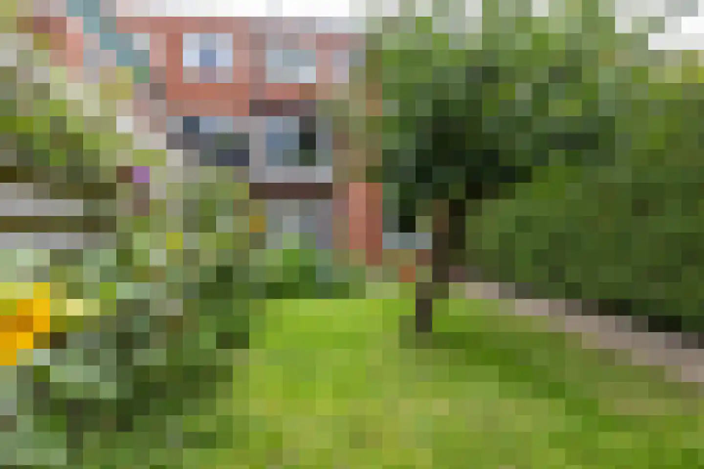 Professor Rankestraat 20 Groningen thumbnail 6