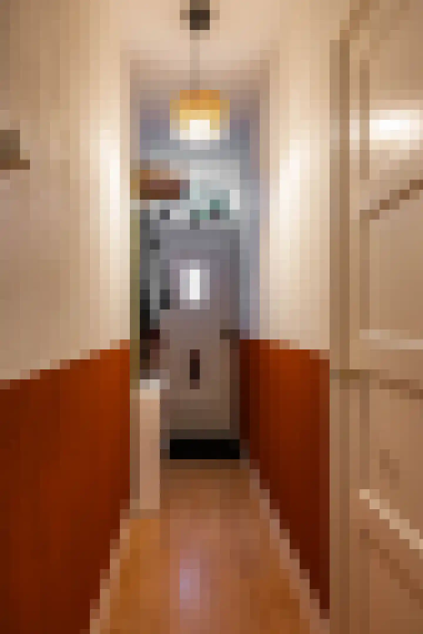 Professor Rankestraat 20 Groningen thumbnail 9
