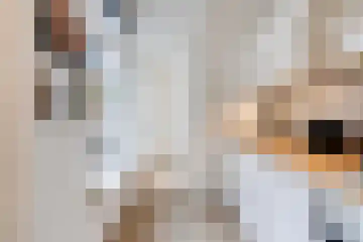 Professor Rankestraat 22 Groningen thumbnail 16