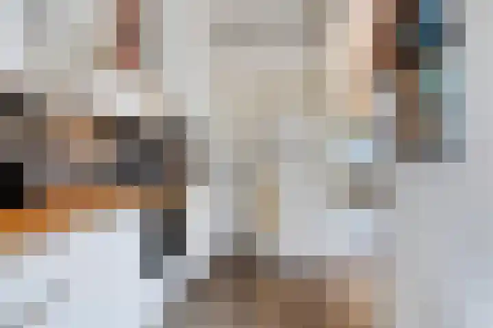 Professor Rankestraat 22 Groningen thumbnail 17