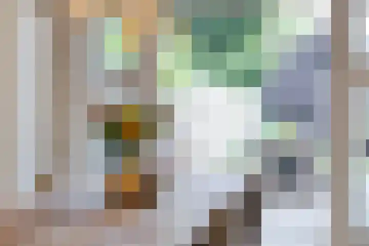 Professor Rankestraat 22 Groningen thumbnail 25
