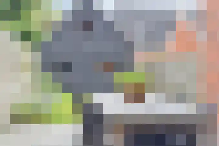 Professor Rankestraat 22 Groningen thumbnail 30
