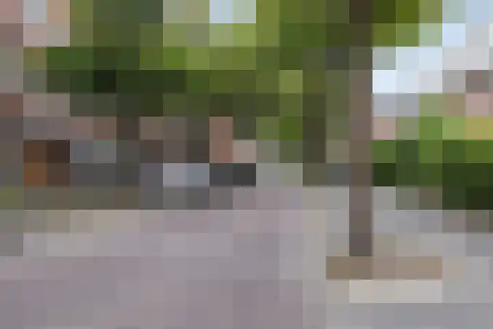 Professor Rankestraat 22 Groningen thumbnail 35