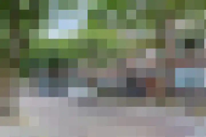 Professor Rankestraat 22 Groningen thumbnail 4