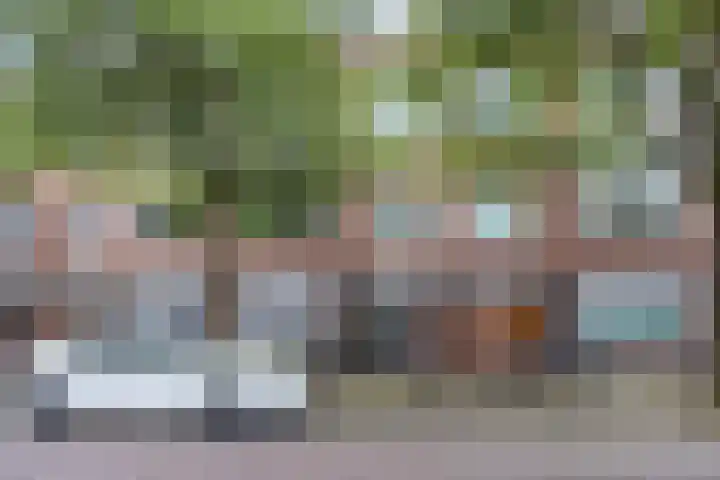 Professor Rankestraat 22 Groningen thumbnail 5