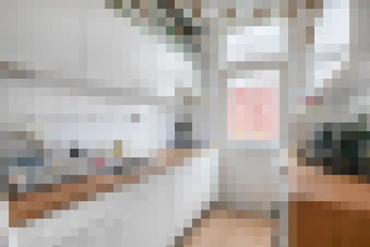 Professor Rankestraat 39 a Groningen thumbnail 13