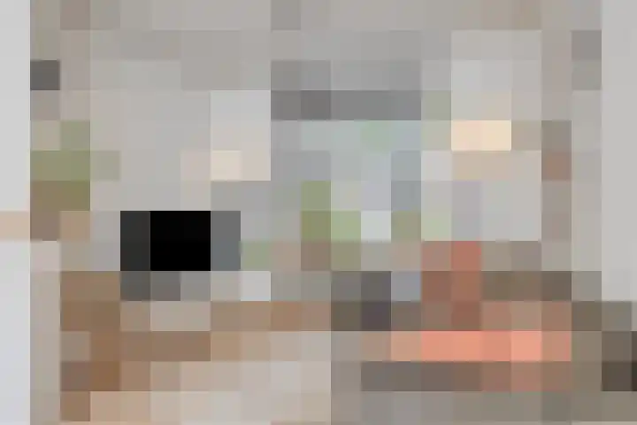 Professor Rankestraat 39 Groningen thumbnail 11