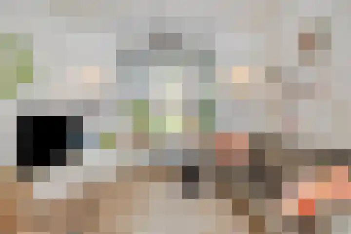 Professor Rankestraat 39 Groningen thumbnail 12