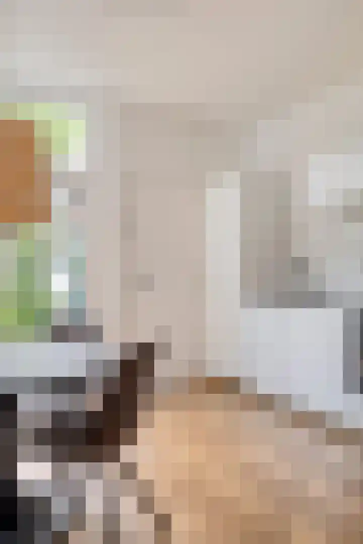 Professor Rankestraat 39 Groningen thumbnail 13