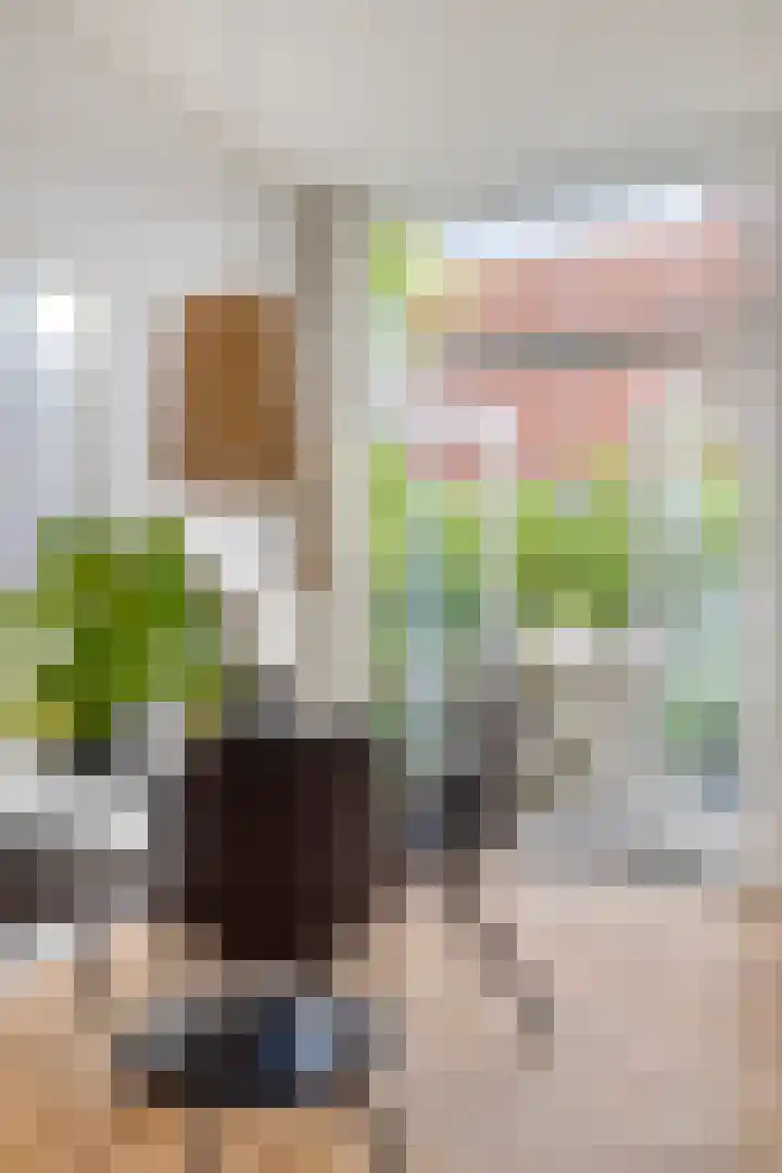 Professor Rankestraat 39 Groningen thumbnail 14