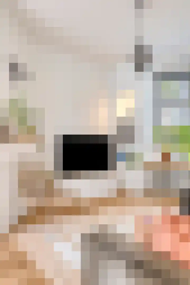 Professor Rankestraat 39 Groningen thumbnail 15