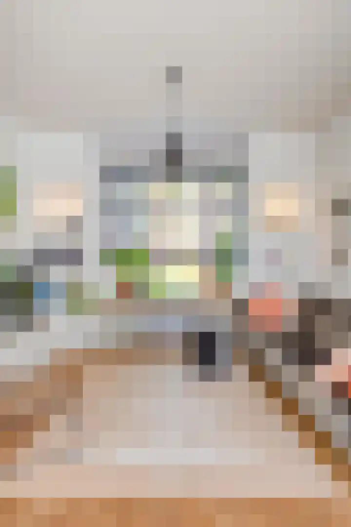 Professor Rankestraat 39 Groningen thumbnail 17