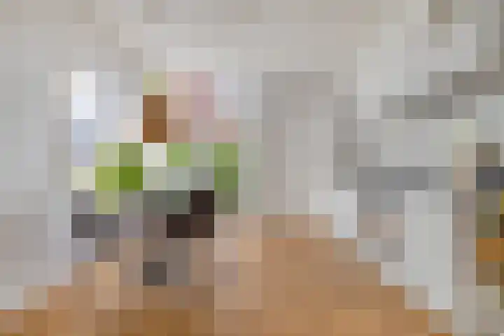 Professor Rankestraat 39 Groningen thumbnail 18