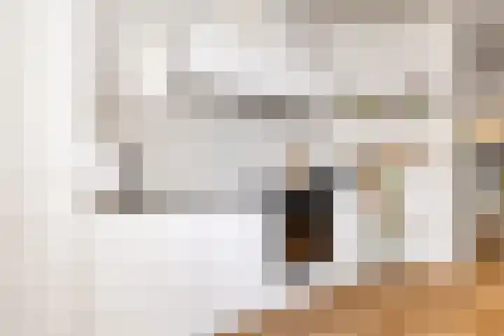 Professor Rankestraat 39 Groningen thumbnail 21