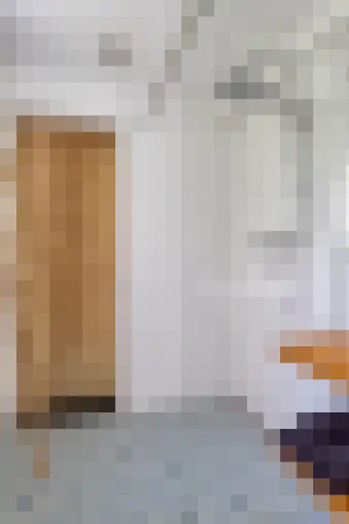Professor Rankestraat 39 Groningen thumbnail 28
