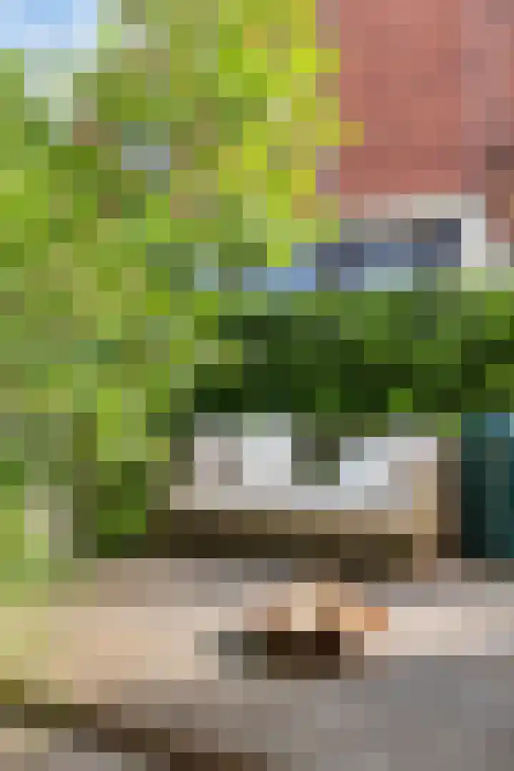 Professor Rankestraat 39 Groningen thumbnail 36