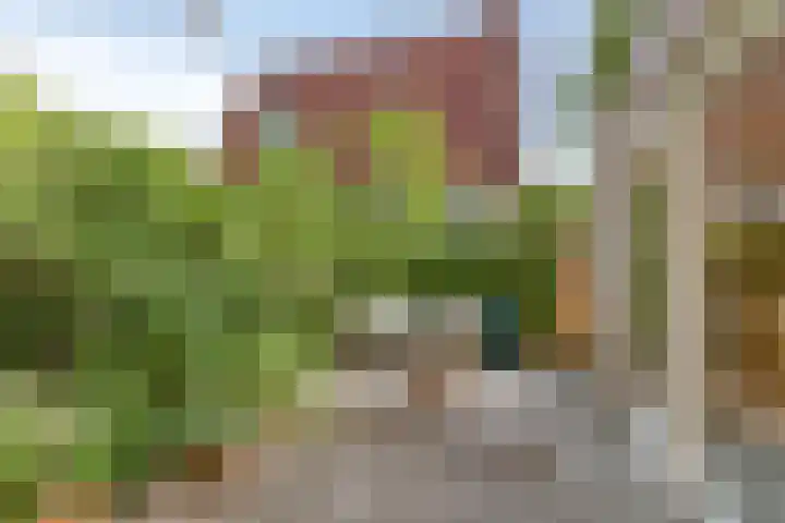 Professor Rankestraat 39 Groningen thumbnail 37