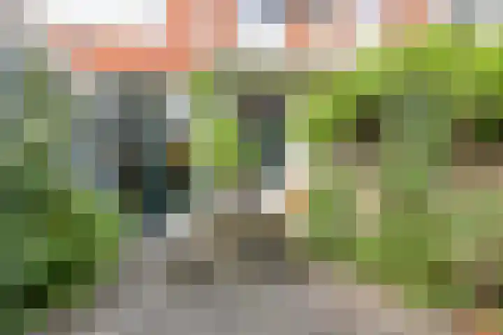 Professor Rankestraat 39 Groningen thumbnail 38