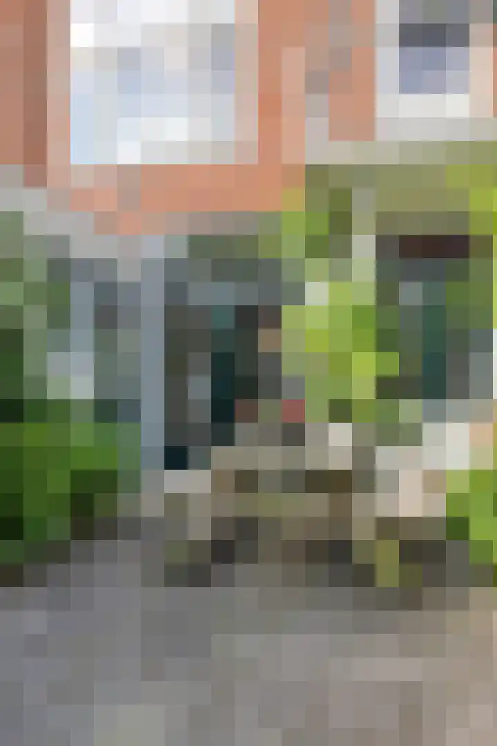 Professor Rankestraat 39 Groningen thumbnail 39